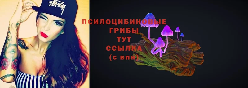 Псилоцибиновые грибы MAGIC MUSHROOMS  Тетюши 